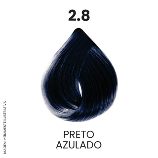 Coloração Profissional 60g Pro Color - 2.8 Preto Azulado